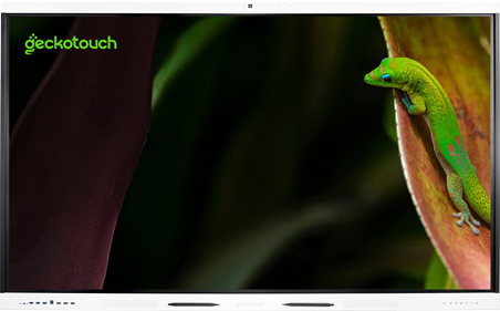 Интерактивный программно-аппаратный комплекс Geckotouch Interactive 65SR