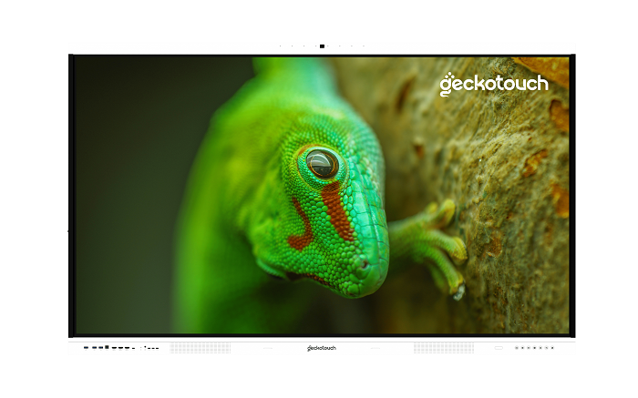 Интерактивная панель Geckotouch Interactive 65RT