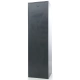 Сейф оружейный ASG/WS6 EL